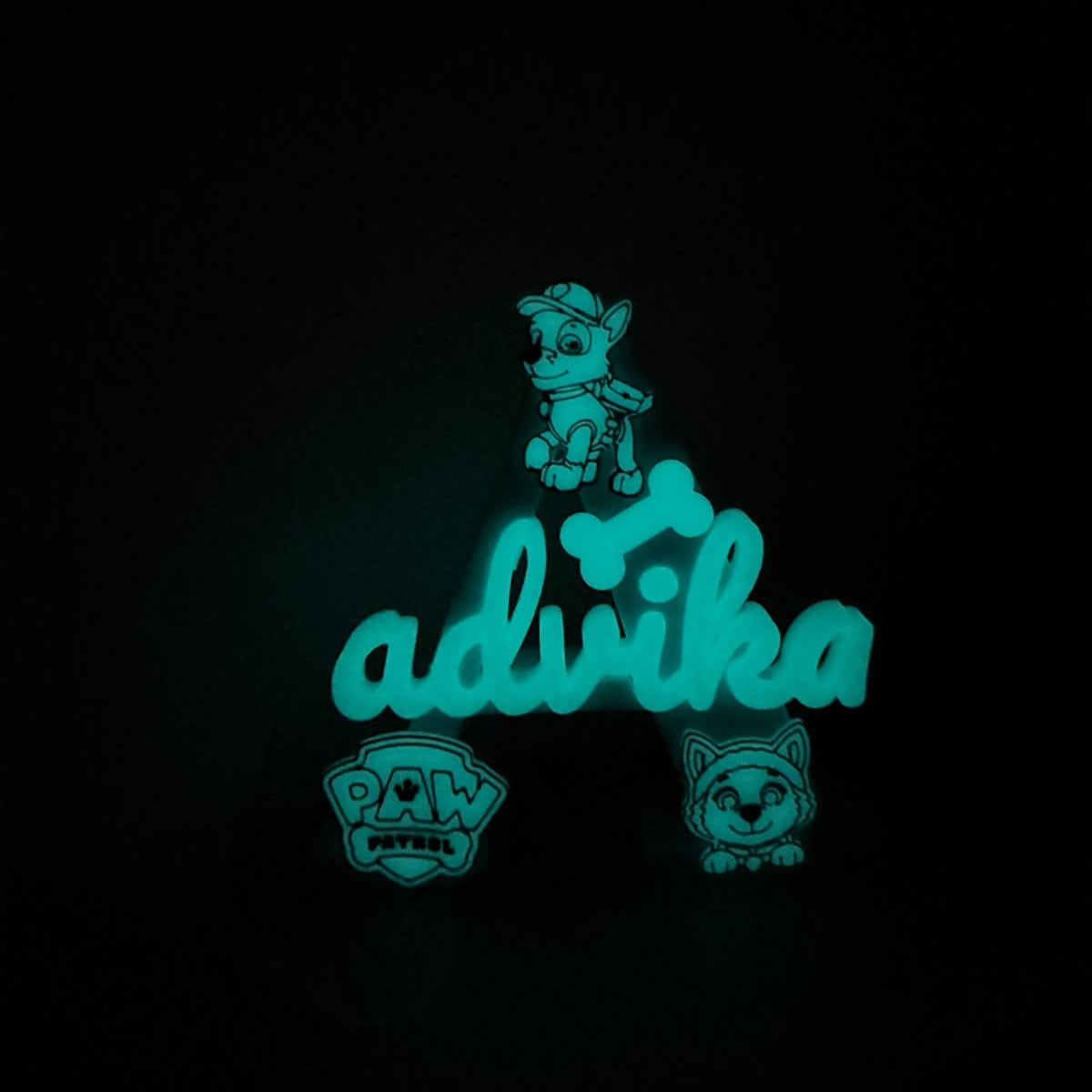 Paw Patrol Theme Personalised Name Stand Glow In The Dark