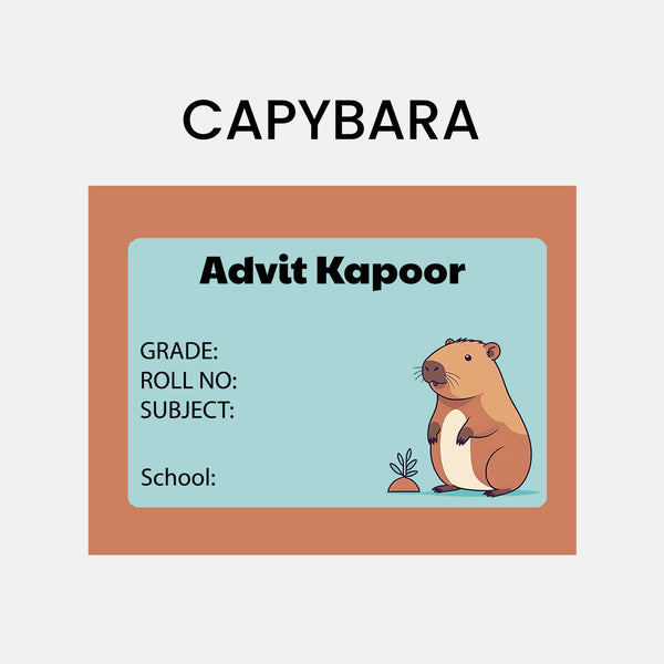 Book Labels & Stickers - CARTOON CHARACTERS - Chatterbox Labels - Book Labels