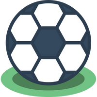 Sports Academies